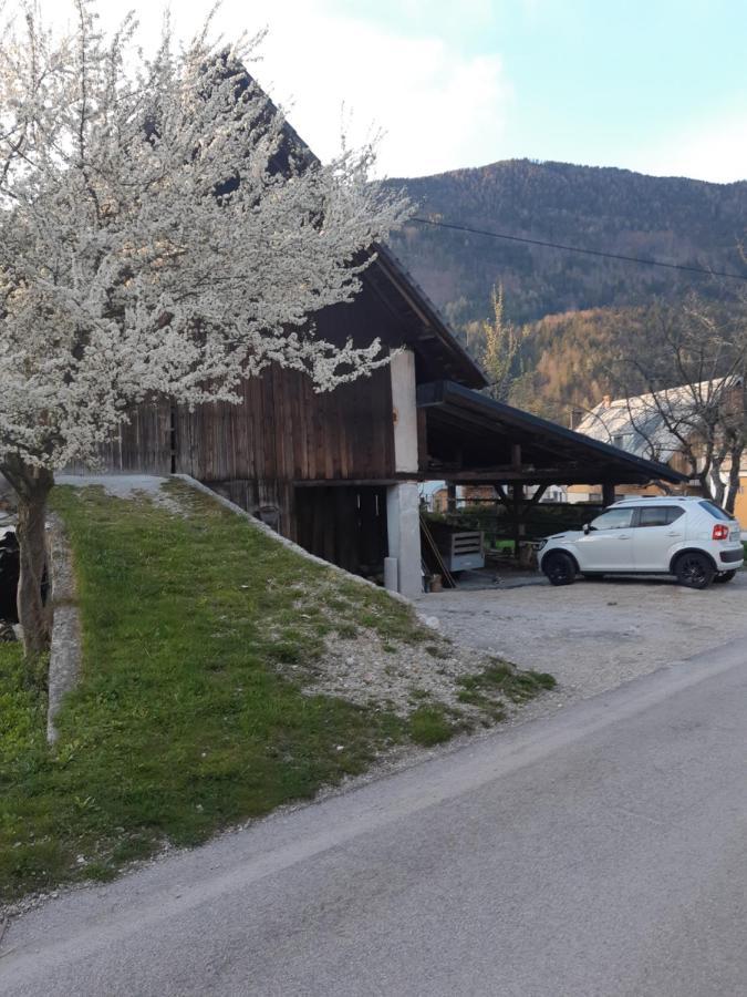 Alpska Roza Apartment ครานสกา โกรา ภายนอก รูปภาพ