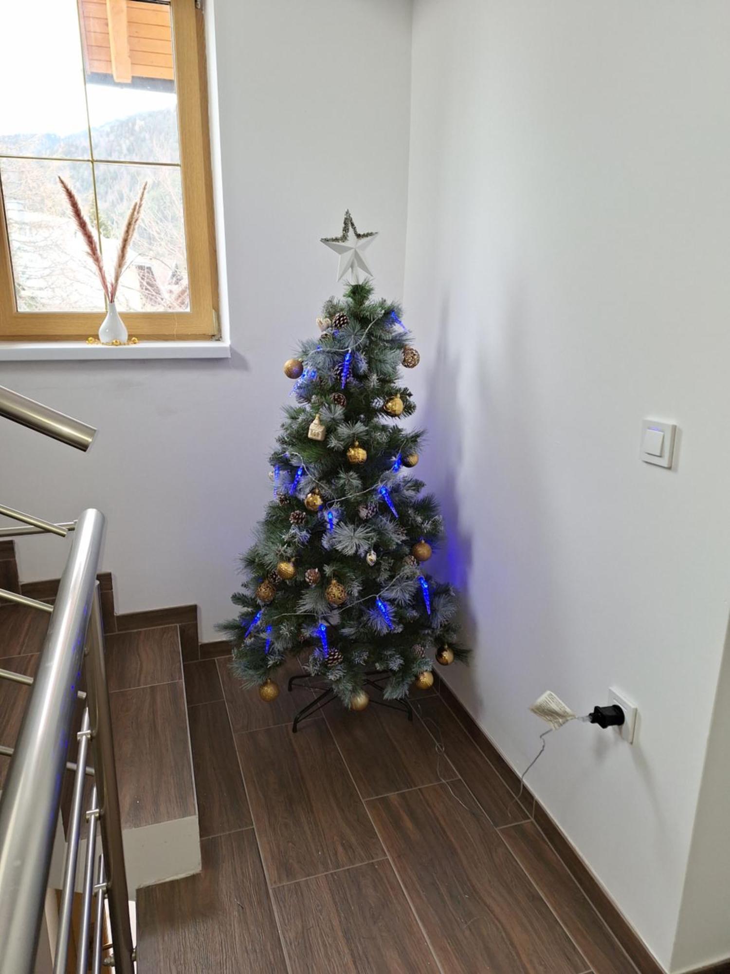 Alpska Roza Apartment ครานสกา โกรา ภายนอก รูปภาพ